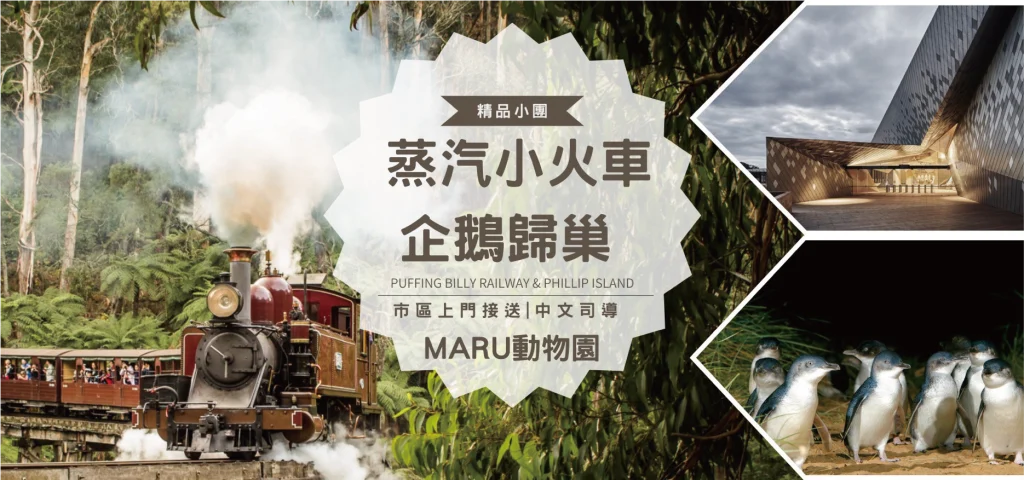 蒸汽小火車+企鵝歸巢一日遊